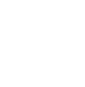Eco friendly vehicle