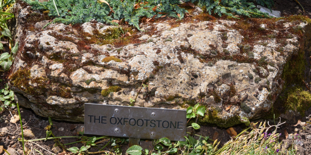 Photo of the Ox Foot Stone responsible for The Fairy Cow of South Lopham legend