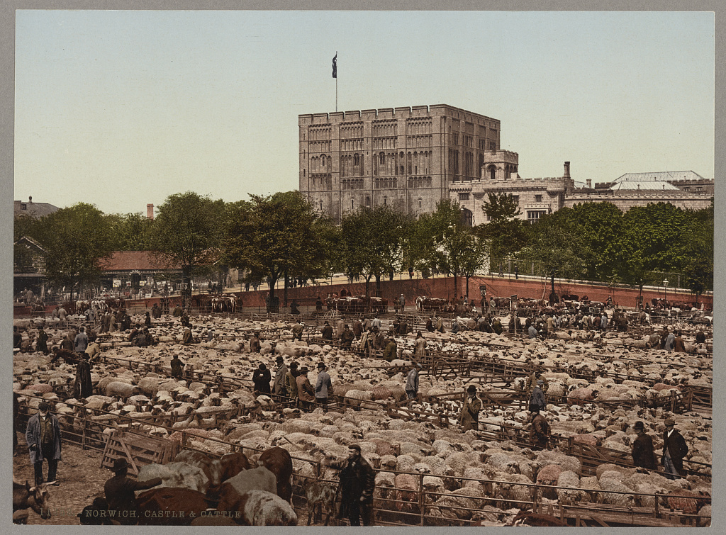 Photograph of the livestock market with Norwich Castle in the background